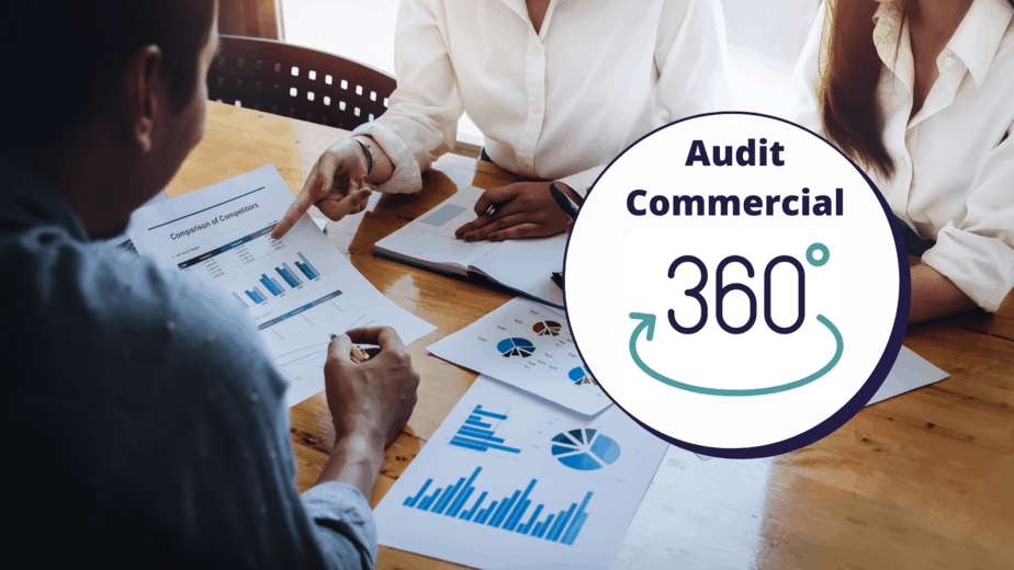 Audit commercial